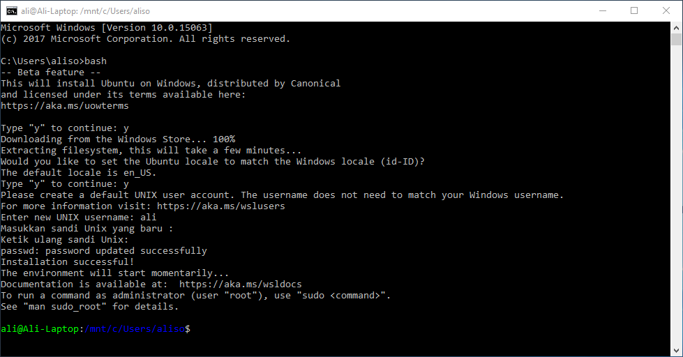 Proceso de instalación del subsistema de Linux en Windows