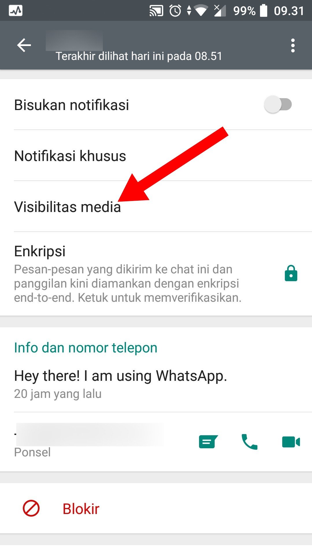Cómo ocultar fotos y videos de WhatsApp enviados por ciertos contactos
