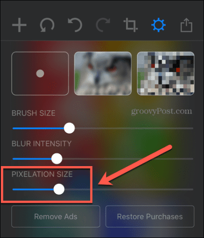 censurar el tamaño de pixelación de la aplicación